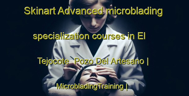 Skinart Advanced microblading specialization courses in El Tejocote  Pozo Del Artesano | MicrobladingTraining | MicrobladingClasses | SkinartTraining-Mexico